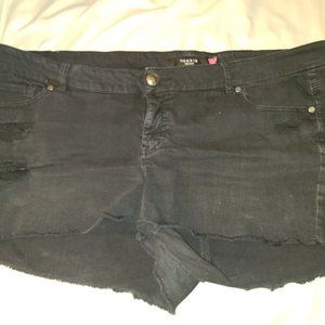 Torrid black shortie shorts